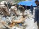 Amarnath Cloudburst Live Updates: Rescue Operations Underway Near Amarnath Shrine