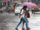 Rain Forecast: IMD predicts heavy rainfall in Odisha, Telangana and THESE states today - Check weather report here