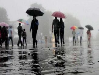 Delhi-NCR rains: Schools declare holiday for students till class 8 in Noida, Greater Noida