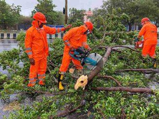 Kutch Limping Back To Normalcy In Biparjoy Aftermath; Most Roads Cleared