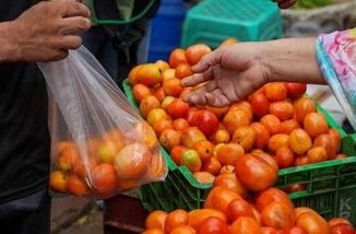 Tomato Price Update: दिल्ली-NCR समेत इन शहरों में जल्द कम होंगे टमाटर के दाम, सरकार ने उठाया ये अहम कदम