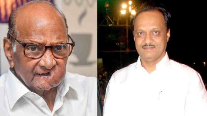 Maharashtra NCP Crisis: Setback For Ajit Pawar? Another MLA Switched Back To Sharad Pawar Camp