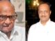 Maharashtra NCP Crisis: Setback For Ajit Pawar? Another MLA Switched Back To Sharad Pawar Camp