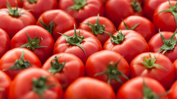 Tomato Prices Continue At Rs 200/ Kg In Chennai, TN Govt To Sell Veg From PDS Stores