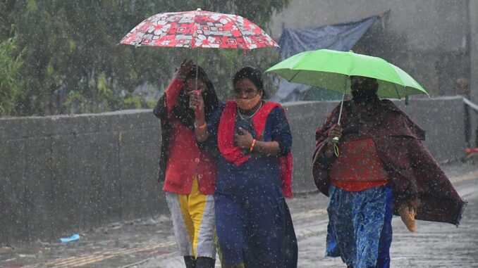 Weather Update: Cold Wave Alert For Delhi, Uttar Pradesh, Rajasthan, Rainfall Likely In Tamil Nadu, Kerala