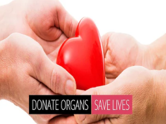 World Organ Donation Day 2024: Guidelines For Live Liver Donors - Expert Shares Tips On Lifestyle