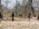 Chhattisgarh: Naxalite Killed In Encounter With Security Forces In Sukma