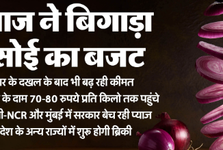 Onion Price: सरकार की कोशिशों के बावजूद कम नहीं हो रहे प्याज के दाम; बढ़ेगी आम आदमी की परेशानी, इतनी बढ़ी कीमत