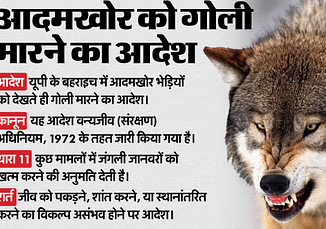 Bahraich Wolf Attack: भेड़िए को मारने-पालने पर होती है सजा, तो बहराइच में शूट के आदेश किस कानून के तहत? समझें