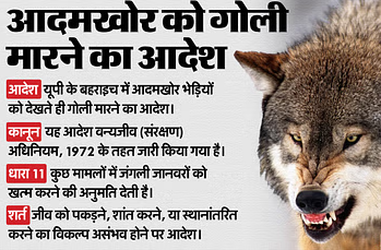 Bahraich Wolf Attack: भेड़िए को मारने-पालने पर होती है सजा, तो बहराइच में शूट के आदेश किस कानून के तहत? समझें