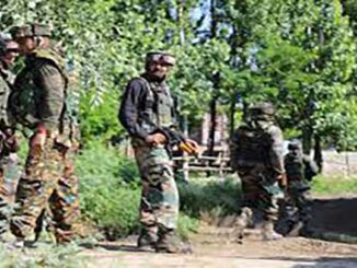 Terrorists Kill Non-Local in Jammu and Kashmir's Shopian, Probe Launched