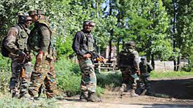 Terrorists Kill Non-Local in Jammu and Kashmir's Shopian, Probe Launched