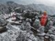 Shimla, Manali Blanketed In Snow On Christmas: 4 Dead, 223 Roads Shut, Hotel Occupancy Crosses 70%