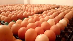 Ande Ka Funda: Egg Prices Skyrocket In THIS Country With Rs 36 A Piece; Not Pakistan, Bangladesh