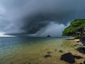 Monsoon: समय से पहले मानसून ने अंडमान-निकोबार और बंगाल की खाड़ी में दी दस्तक, अगले कुछ दिनों में और आगे बढ़ेगा