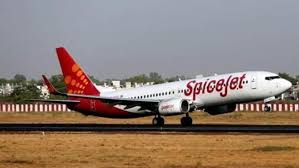 Tirupati-Bound SpiceJet Flight Returns Midway Due To Technical Issues