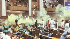 Delhi HC Grants Bail To Neelam Azad, Mahesh Kumawat In Parliament Security Breach Case