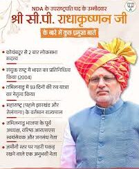 उपराष्ट्रपति के तौर पर क्या होंगी राधाकृष्णन की शक्तियां: कौन सी जिम्मेदारियां संभालेंगे, सुविधाएं-वेतन कितना?