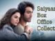 Saiyaara Final Worldwide Box Office Collection: Ahaan Panday's Debut Beats Salman's Tiger Zinda Hai, Aamir Khan's 3 Idiots With Rs 570 Crore Blockbuster Run