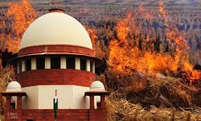 Sending People Behind Bars for Stubble Burning Will Send Right Message: Supreme Court