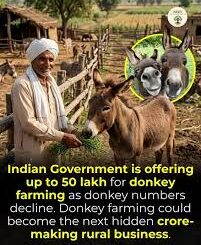 Business Idea 2026: Get up to Rs 50 lakh support from Central Govt for THIS farm business