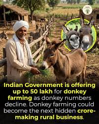 Business Idea 2026: Get up to Rs 50 lakh support from Central Govt for THIS farm business