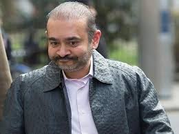 Setback for Nirav Modi; London Court orders diamond merchant to pay Rs 100 cr to Bank of India in loan recovery case