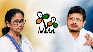 Trinamool vs rebels: Who does the party constitution favour - Mamata Banerjee or Ritabrata?