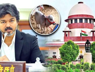 Tamil Nadu cow slaughter ban: Supreme Court stays Madras HC order, shields CM Vijay TVK government