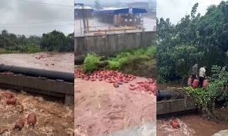 Viral video: 3,000 HPCL gas cylinders sweep into Patalganga river after Raigad wall collapse