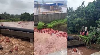Viral video: 3,000 HPCL gas cylinders sweep into Patalganga river after Raigad wall collapse