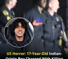 ChatGPT search, ‘Kill family’ fantasies: How Indian-origin teen killed mother, brother in brutal crime