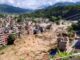 Seven dead after flash flood sweeps Nepal’s Rasuwa region; rescue operation underway