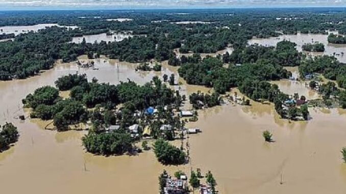 Assam Flood: बाढ़ की तबाही से हाहाकार, 80 मौतें और 7 लाख लोग बेघर....इन राज्यों में जनजीवन अस्त-व्यस्त