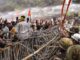 Jharkhand Student Protest: Case registered against 600 protestors over Assembly march