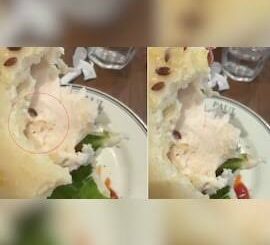 रेस्टोरेंट में सैंडविच के अंदर मिला जिंदा कीड़ा, आधा खा चुके थे ग्राहक; Video वायरल होने पर मैनेजमेंट ने मांगी माफी