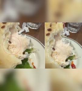 रेस्टोरेंट में सैंडविच के अंदर मिला जिंदा कीड़ा, आधा खा चुके थे ग्राहक; Video वायरल होने पर मैनेजमेंट ने मांगी माफी