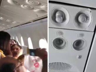 'सिर-हाथ पर चोट, कई गंभीर रूप से घायल', Air India विमान के टर्बुलेंस के बीच कैसा था मंजर; यात्री ने सुनाई खौफनाक आपबीती