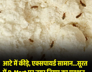 आटे में कीड़े, एक्सपायर्ड सामान...सूरत में D-Mart पर नगर निगम का एक्शन, ₹25 हजार का लगा जुर्माना