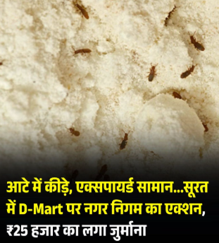 आटे में कीड़े, एक्सपायर्ड सामान...सूरत में D-Mart पर नगर निगम का एक्शन, ₹25 हजार का लगा जुर्माना