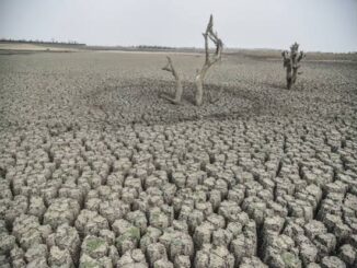 Maharashtra declares drought in 265 talukas, announces 12-point relief package