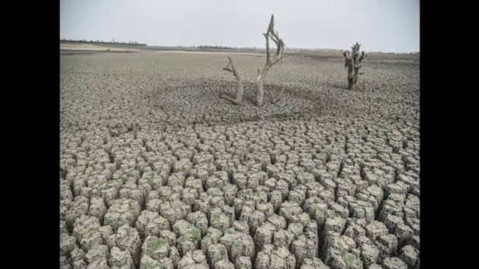 Maharashtra declares drought in 265 talukas, announces 12-point relief package