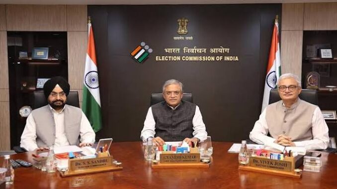 Election Commission removes Form 6 declaration flagged by commissioners as 'illegal'