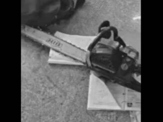Class 10 girl attacked with chainsaw at Andhra school, another hurt while trying to save her