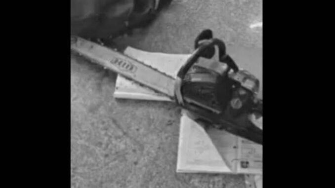 Class 10 girl attacked with chainsaw at Andhra school, another hurt while trying to save her