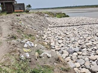 यमुना के बाढ़ क्षेत्र में No Activity Zone! प्रदूषण-अतिक्रमण पर लगाम की तैयारी